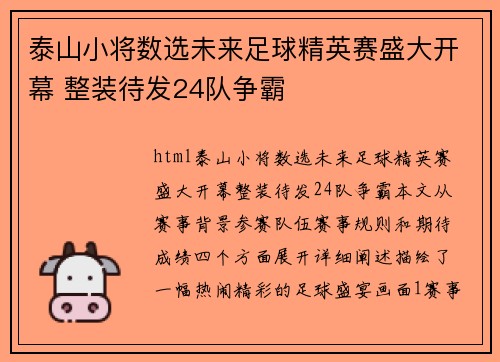 泰山小将数选未来足球精英赛盛大开幕 整装待发24队争霸