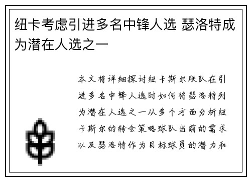 纽卡考虑引进多名中锋人选 瑟洛特成为潜在人选之一